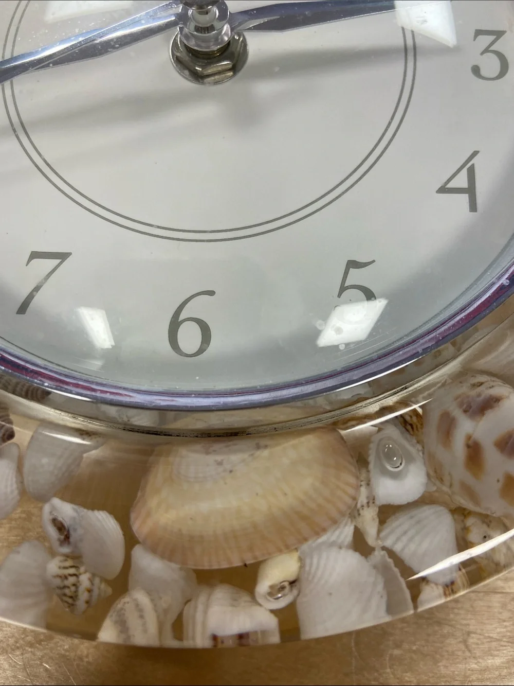 FirsTime Seashell Coastal Accent Wall Clock in Cream
